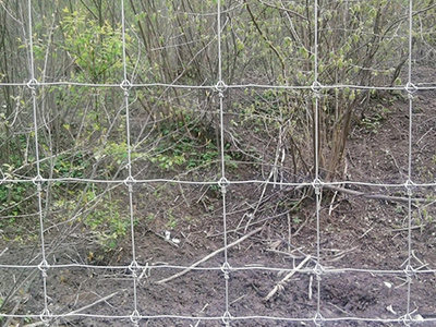 黑龍江鹿網(wǎng)圍欄