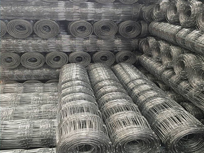 黑龍江牛欄網(wǎng)