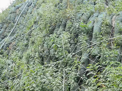 邊坡防護網(wǎng) 邊坡防護網(wǎng)